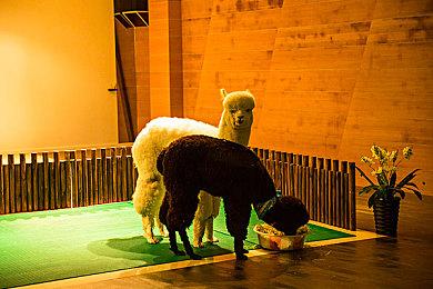 《苍蓝雷霆:刚巴尔特锁环》登陆Xbox发售 稻船敬二炸裂动作名作